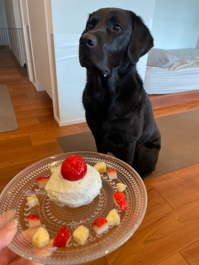 黒いラブラドールの5歳の誕生日の写真